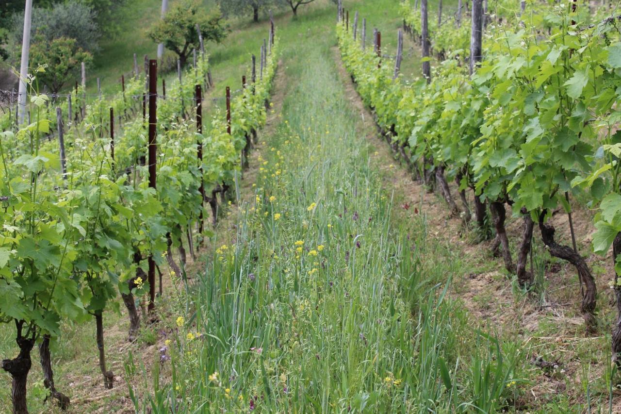Agriturismo La Rovere Cossano Belbo Bagian luar foto
